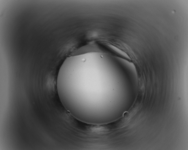X0000094930669200712061130
