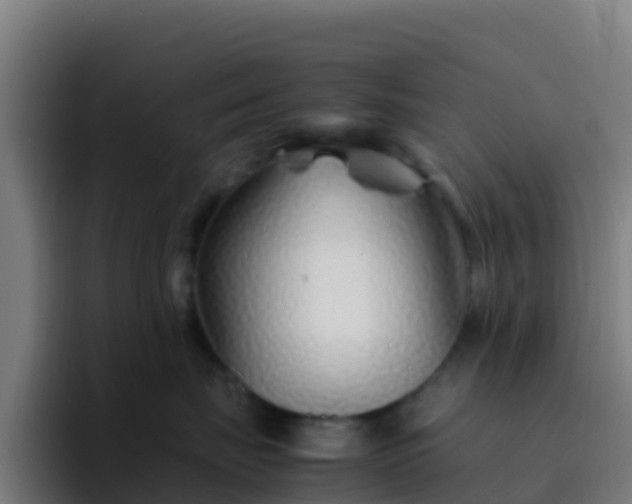 X0000094930671200712061130