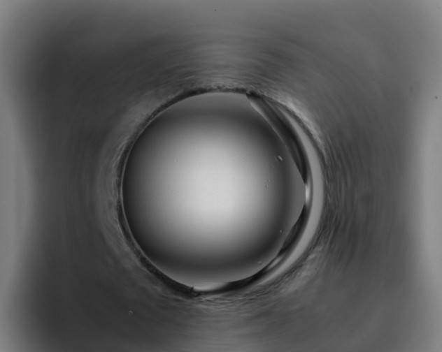 X0000094930673200712061129