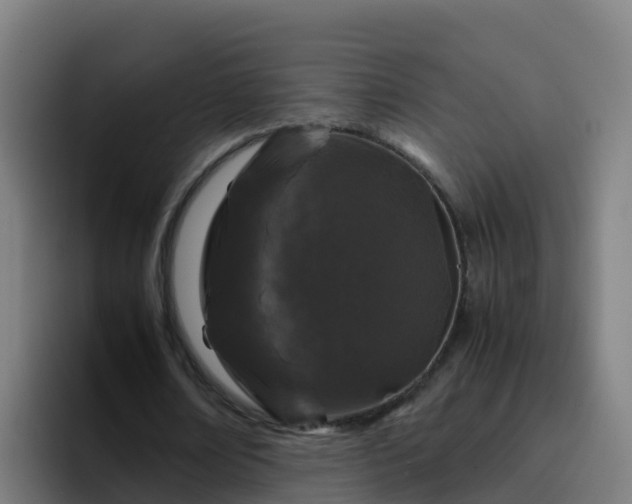 X0000094930674200712061129
