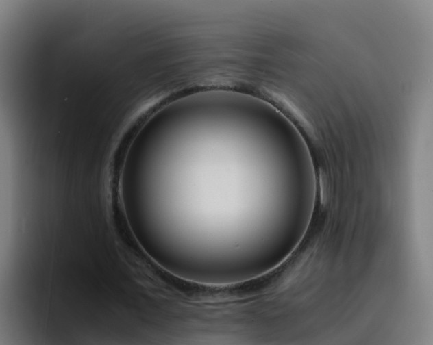 X0000094930675200712061129