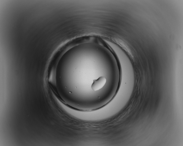 X0000094930676200712061129