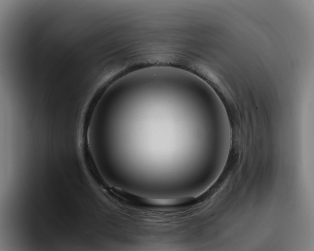 X0000094930677200712061129