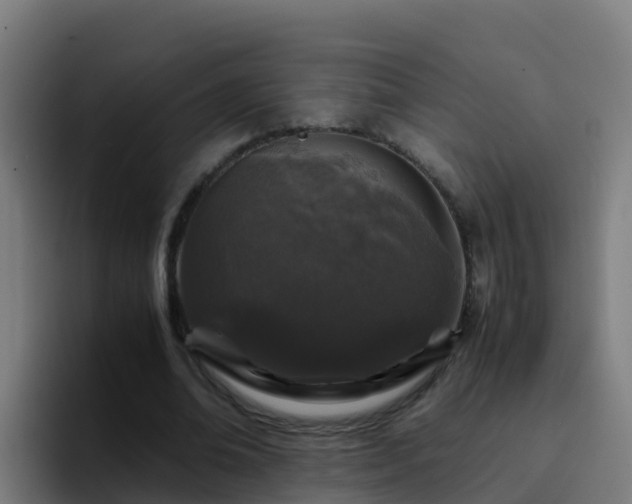 X0000094930678200712061129