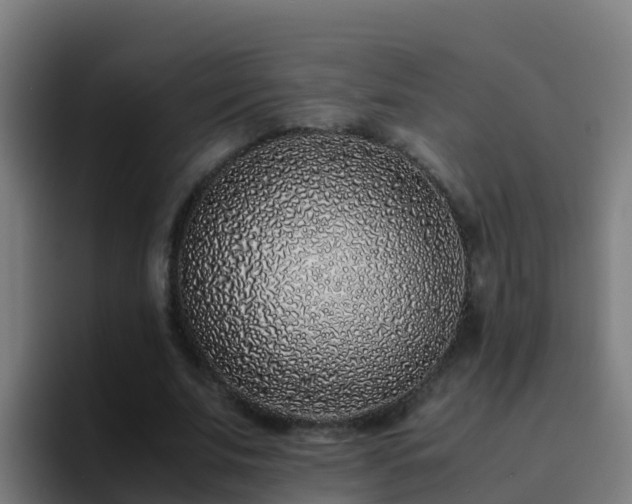 X0000094930679200712061129
