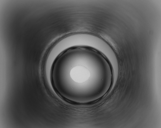 X0000094930680200712061129