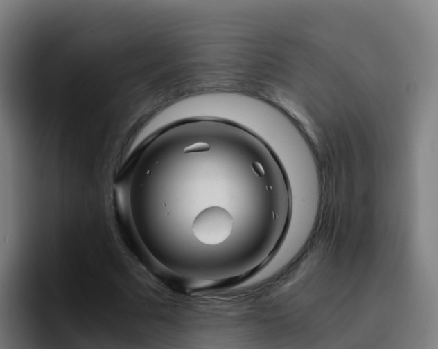 X0000094930681200712061129