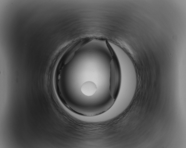 X0000094930684200712061129