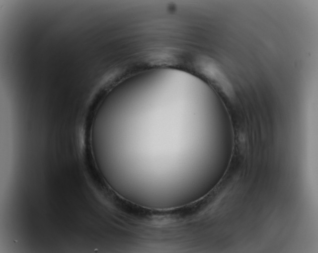 X0000094930686200712061129