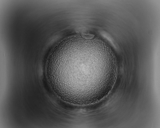 X0000094930687200712061129