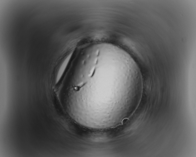 X0000094930691200712061129