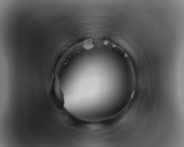 X0000094930693200712061129