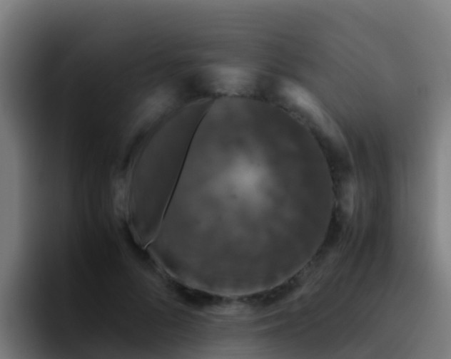 X0000094930696200712061129