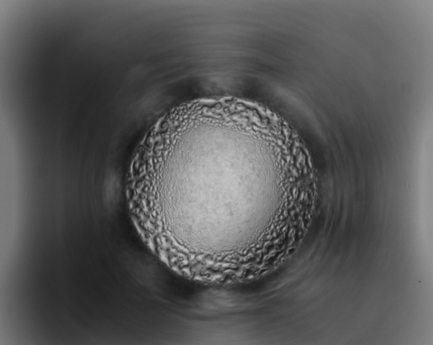 X0000094930699200712061129