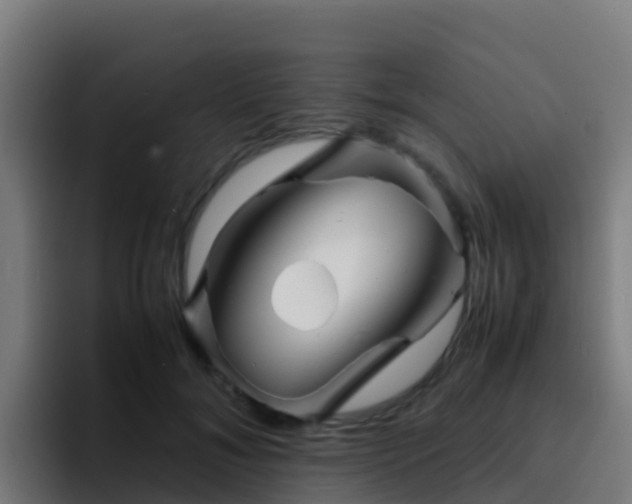 X0000094930700200712061129
