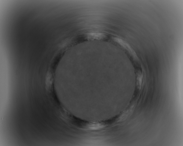 X0000094930701200712061129