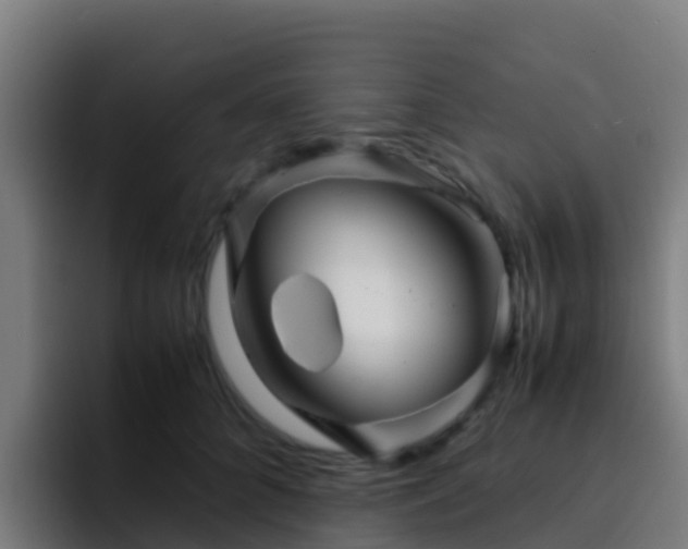 X0000094930704200712061129