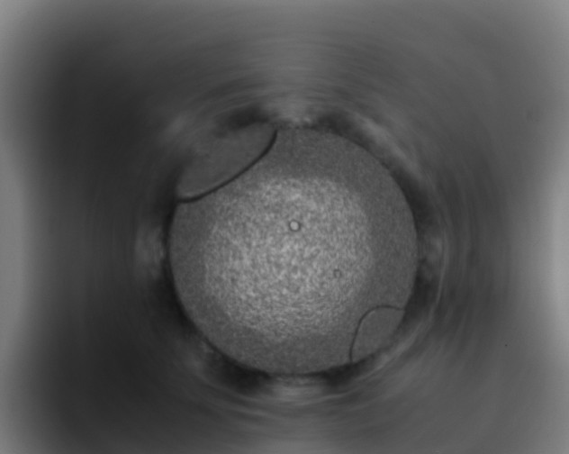 X0000094930707200712061129