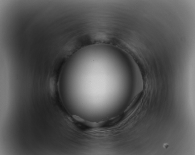 X0000094930708200712061129