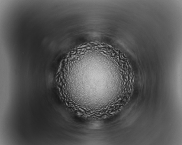 X0000094930711200712061129