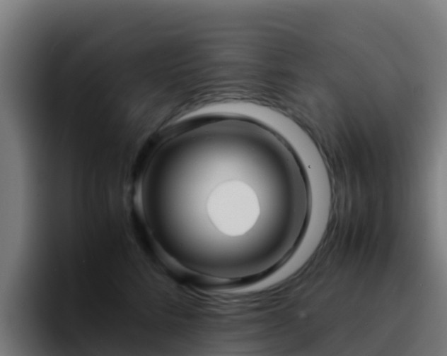 X0000094930712200712061129