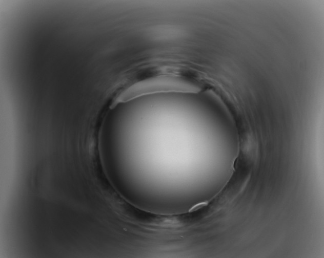 X0000094930715200712061129