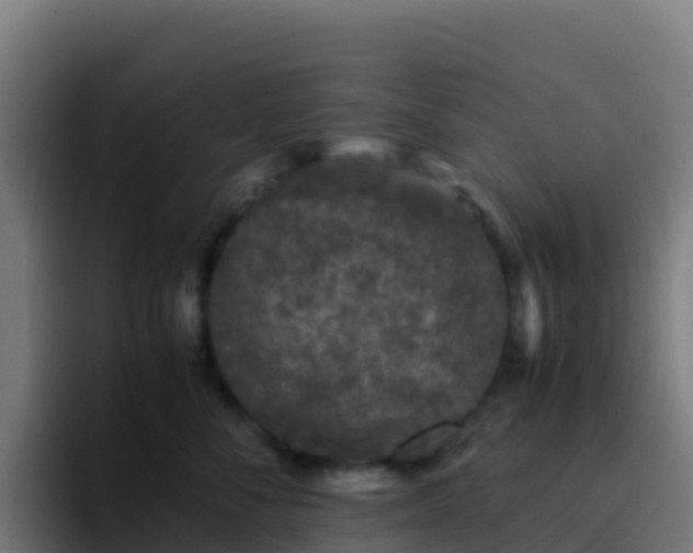 X0000094930716200712061129
