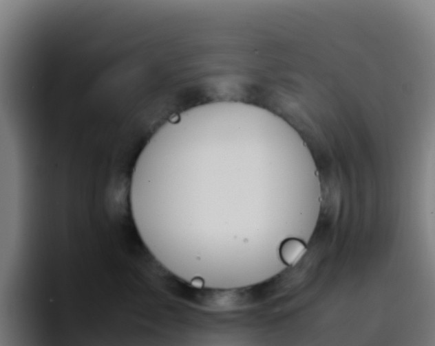 X0000094930717200712061129