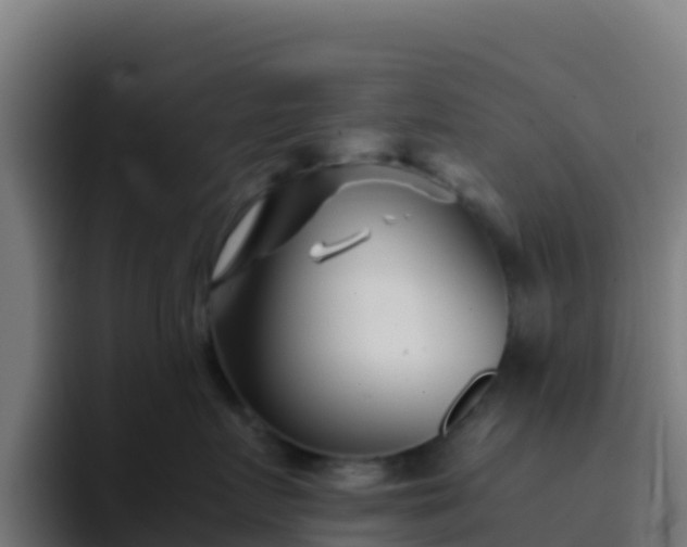 X0000094930719200712061129