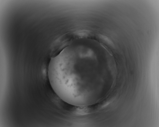 X0000094930720200712061129
