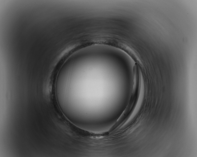 X0000094930723200712061128