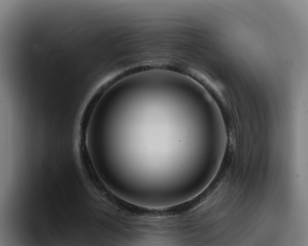 X0000094930724200712061128