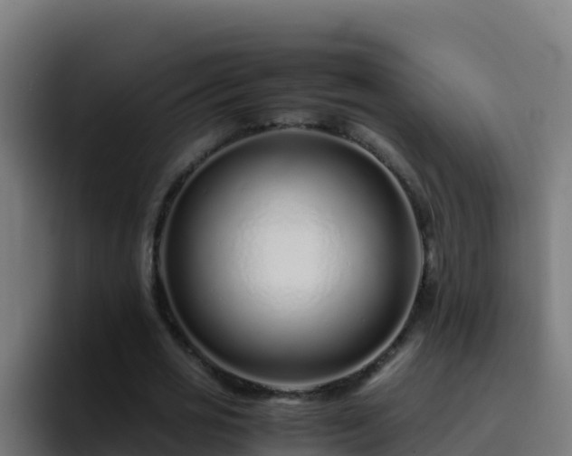X0000094930725200712061128