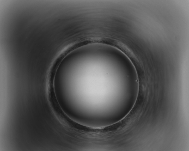 X0000094930728200712061128