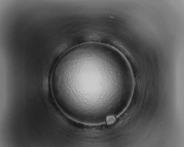 X0000094930729200712061128