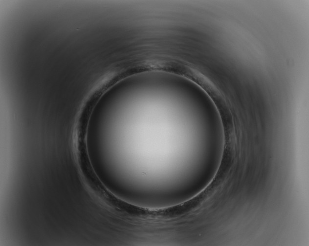 X0000094930730200712061128