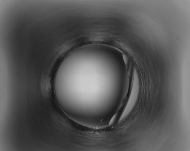 X0000094930731200712061128