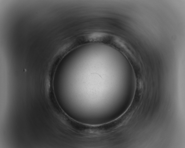 X0000094930733200712061128