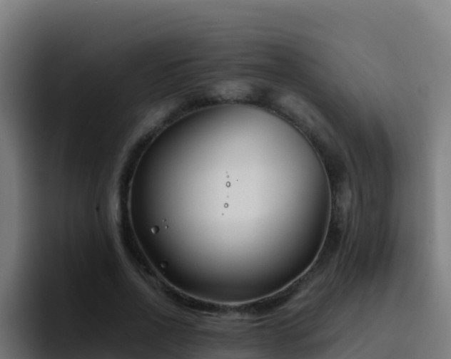 X0000094930734200712061128