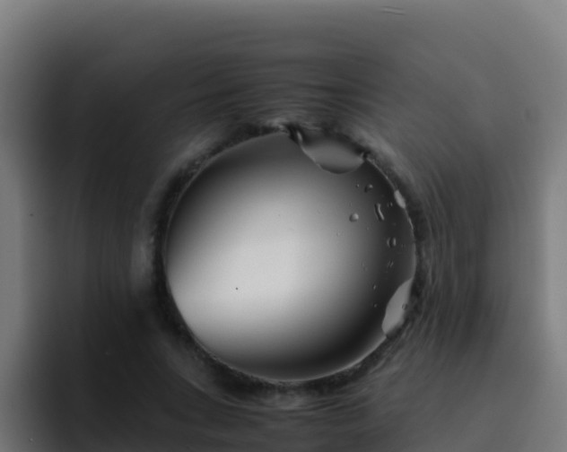 X0000094930735200712061128