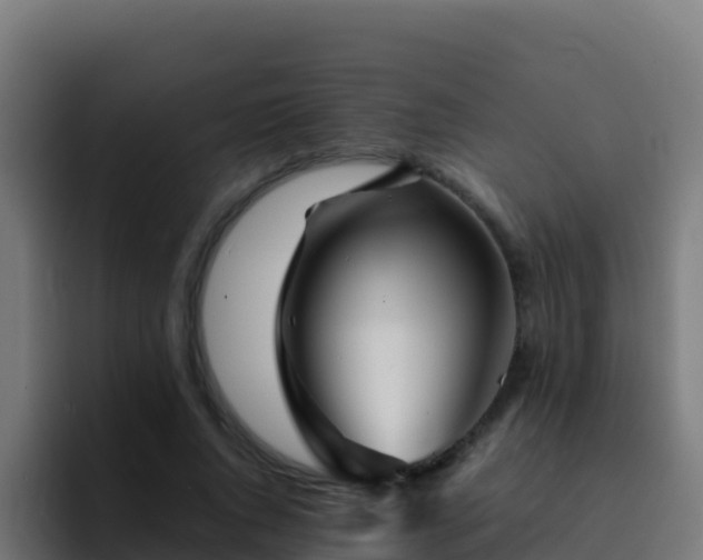 X0000094930736200712061128