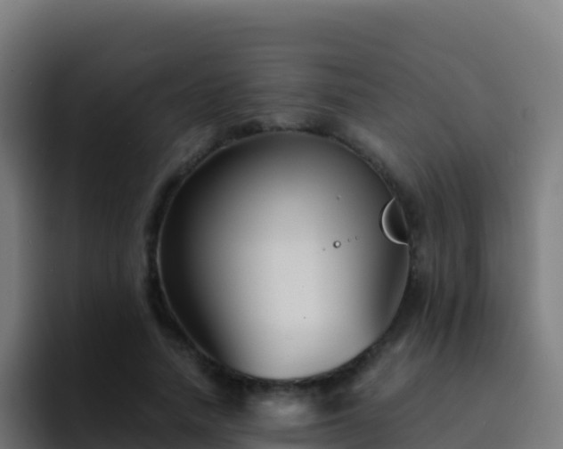 X0000094930738200712061128