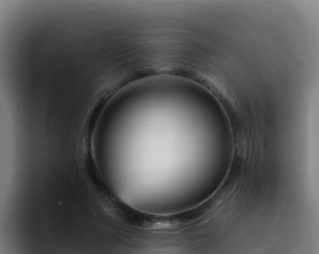 X0000094930740200712061128