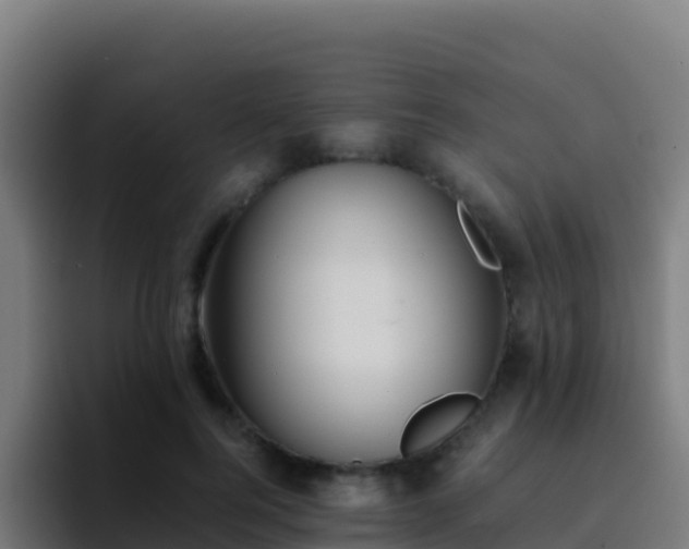 X0000094930744200712061128