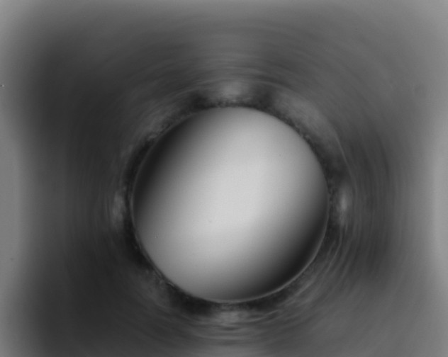 X0000094930746200712061129