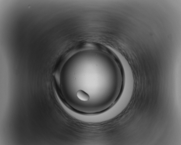X0000094930750200712061129