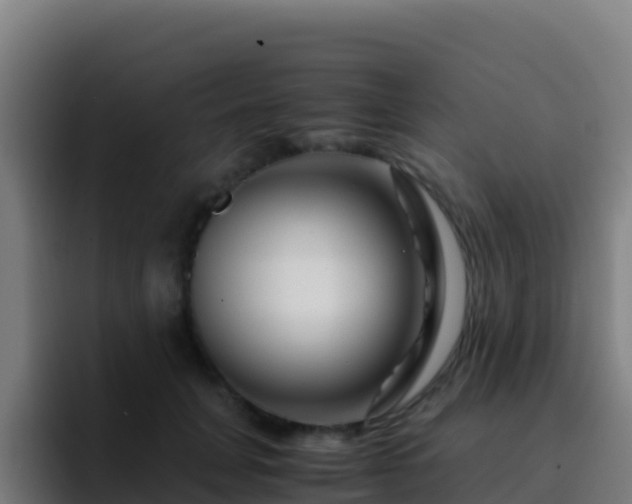 X0000094930751200712061129