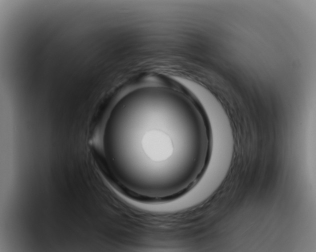 X0000094930752200712061129