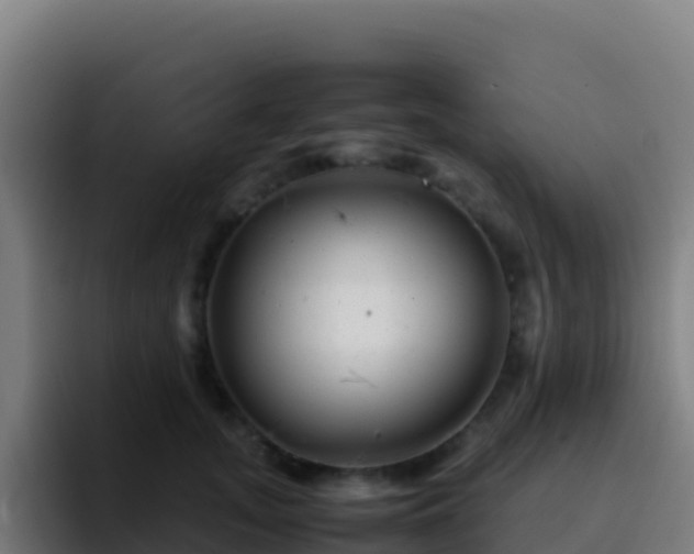 X0000094930755200712061129