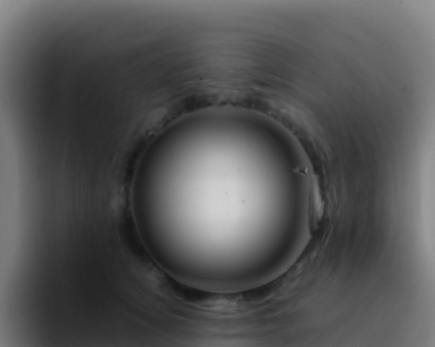 X0000094930756200712061129